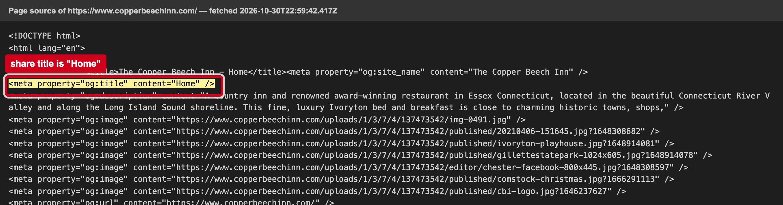 Screenshot: Shared links to your site are titled "Home"